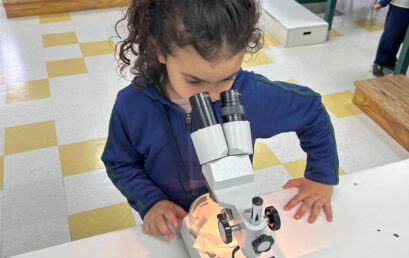Y2 Nordelta – Discovering the world of bacteria