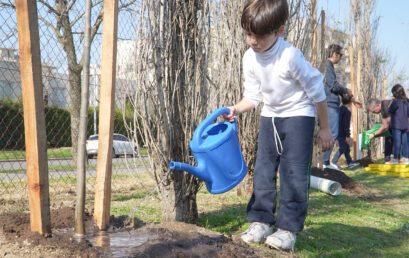 29 August – Tree Day