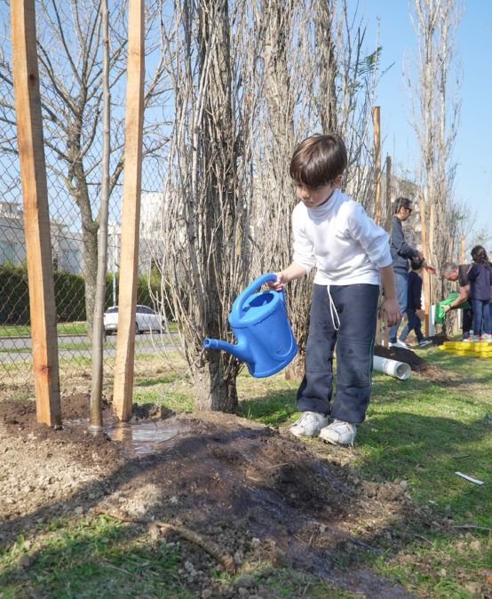 29 August – Tree Day