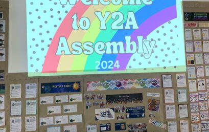 Y2A Assembly “All light and no shadows”