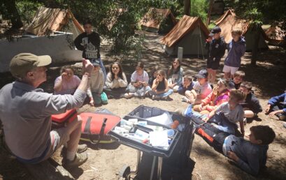 Y4 Olivos Camping